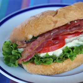 A closeup of an egg salad BLT on a white plate. Lettuce, egg salad, tomatoes, and bacon are arranged on a long Italian style bun.