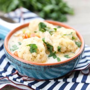 Chicken & Dumplings in a bowl