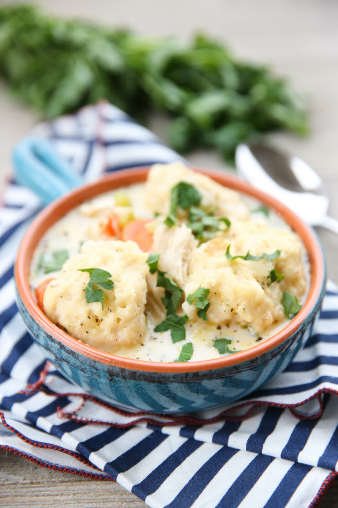 The Best Chicken and Dumplings from Our Best Bites