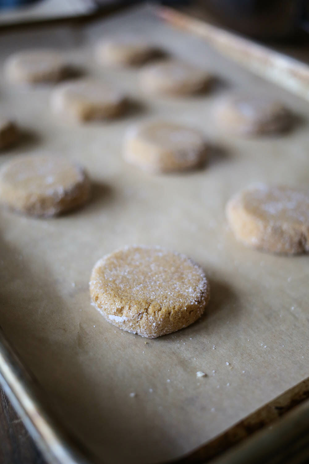 pressed ginger spice cookie dough