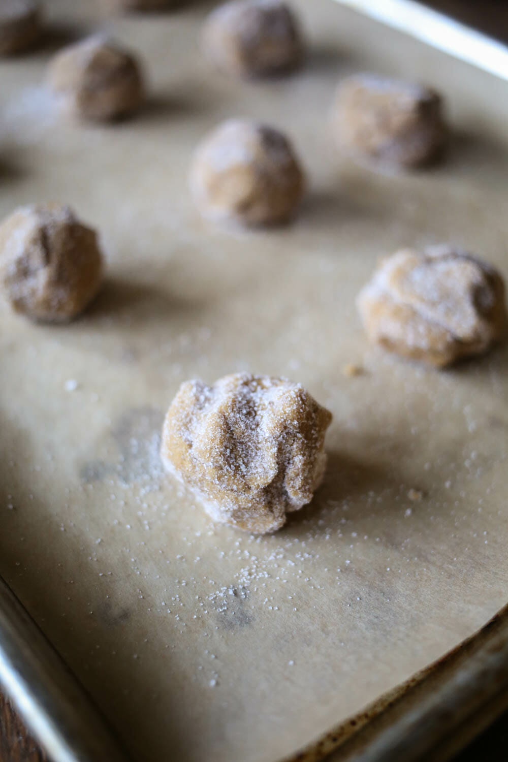 ginger spice cookie dough rolled in sugar