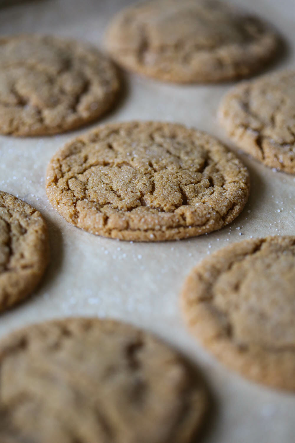 closeup of ginger spice cookies