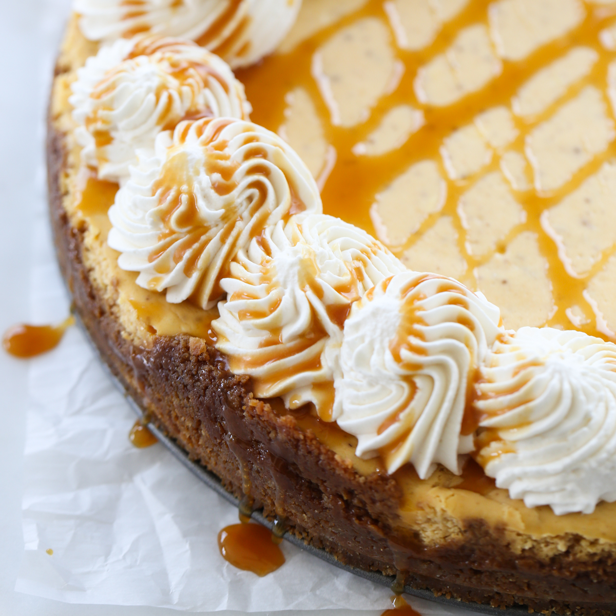 Pumpkin Cheesecake with Pecan-Gingersnap Crust - Our Best Bites