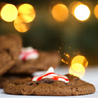 blogger christmas cookie exchange!