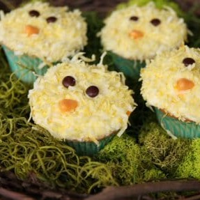 3 spring chick cupcakes, nestled in a bed of moss.