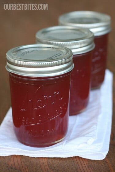 Introduction To Home Canning And Preserving Our Best Bites