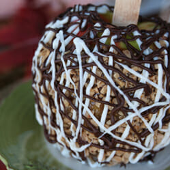 Gourmet Style Dipped Apples with Homemade Caramel