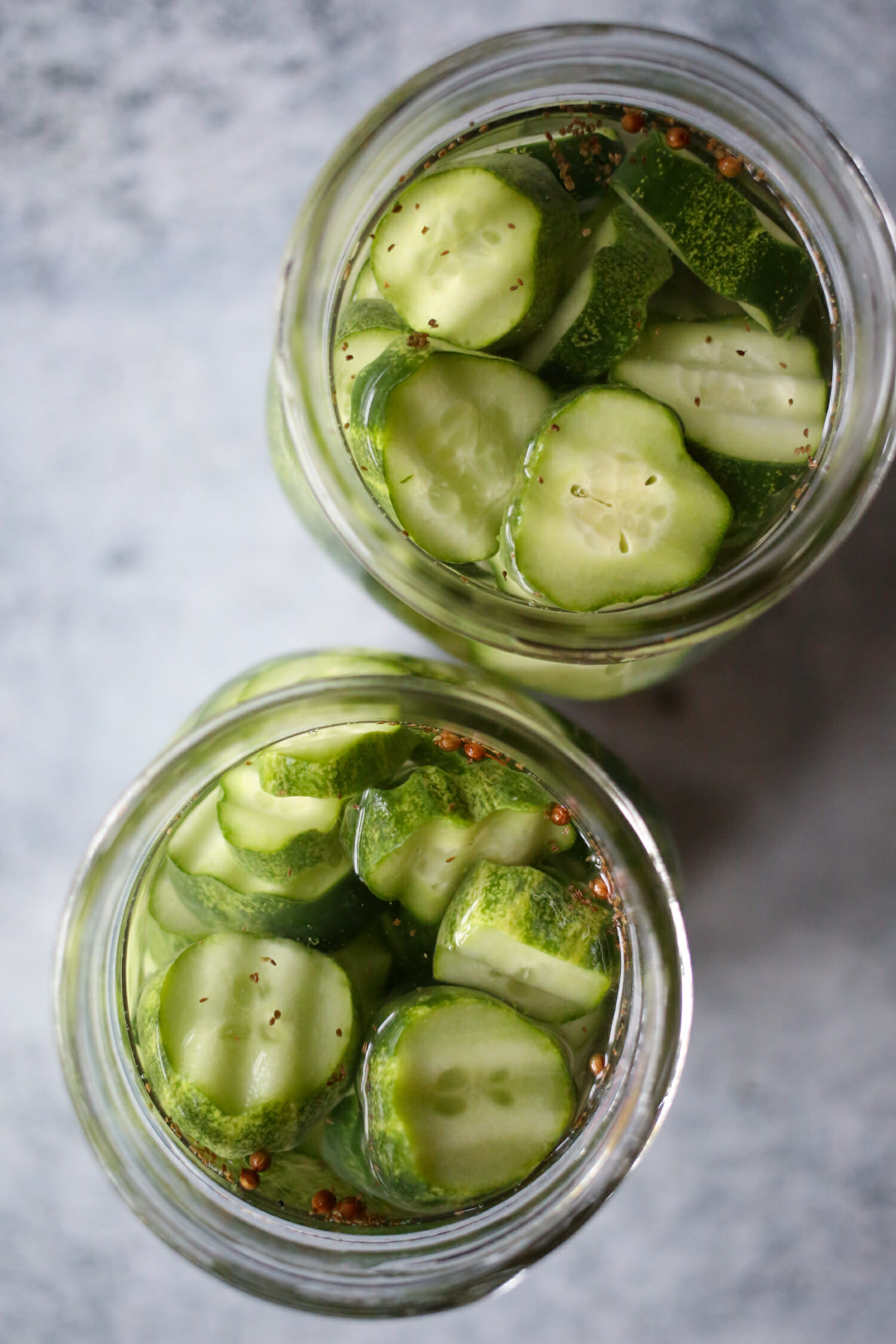 refrigerator pickles from our best bites