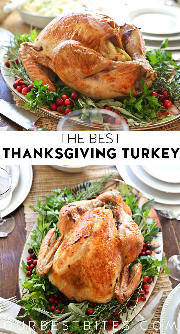 Best Turkey To Buy For Thanksgiving / The 6 best turkey roaster ovens