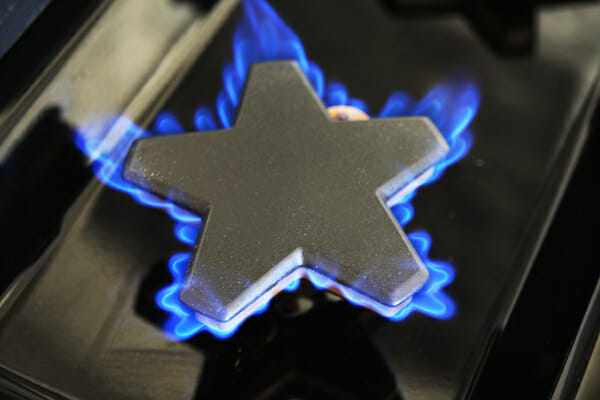 Thermador Blue Star Burner