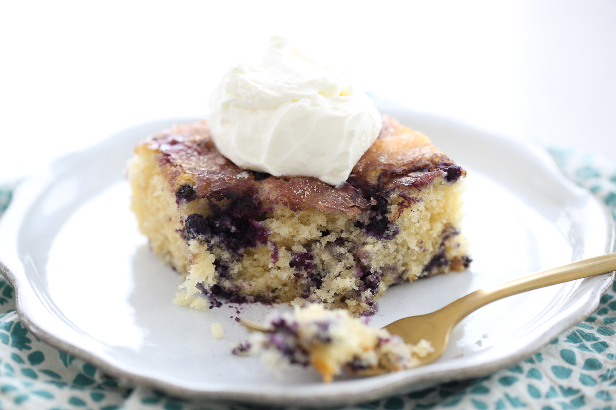Blueberry Boy Bait Cake on a white Plate