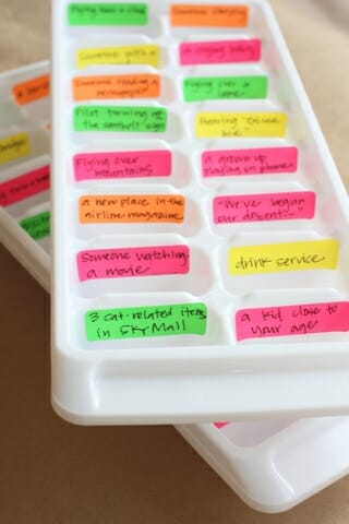 labeled ice cube trays