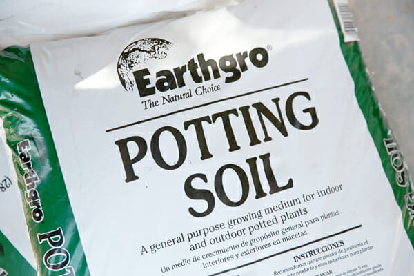 Potting Soil