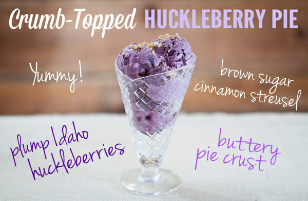 Sara's Huckleberry Ice Cream