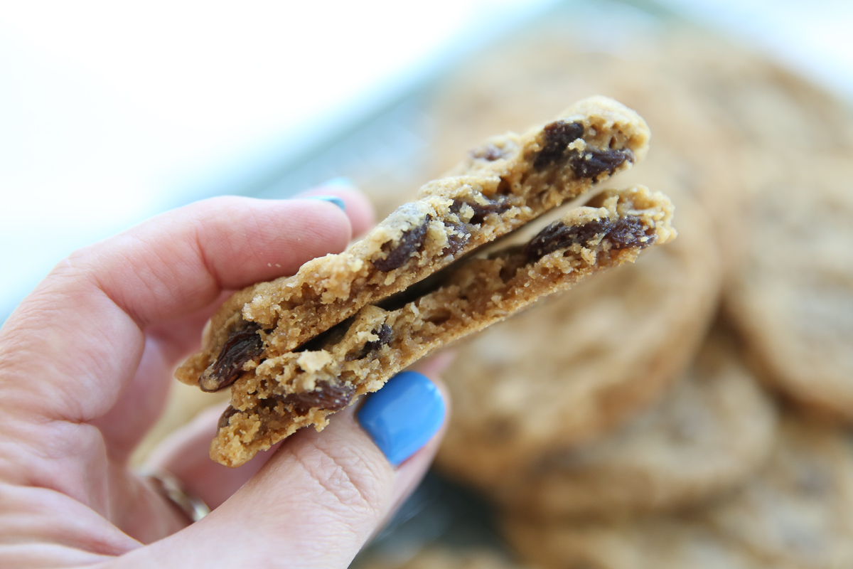 hand holding an oatmeal raisin cookie broken in half