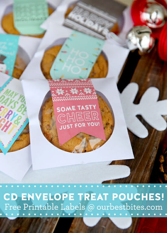 Brilliant idea to use CD envelopes for treat pouches from Our Best Bites!