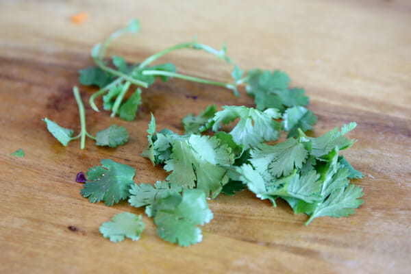 Cilantro Leaves