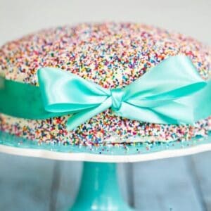A cute cake, covered in colorful sprinkles, with a light teal bow wrapped around it.