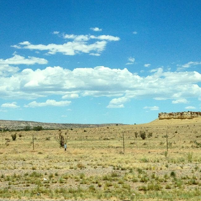 New Mexico desert