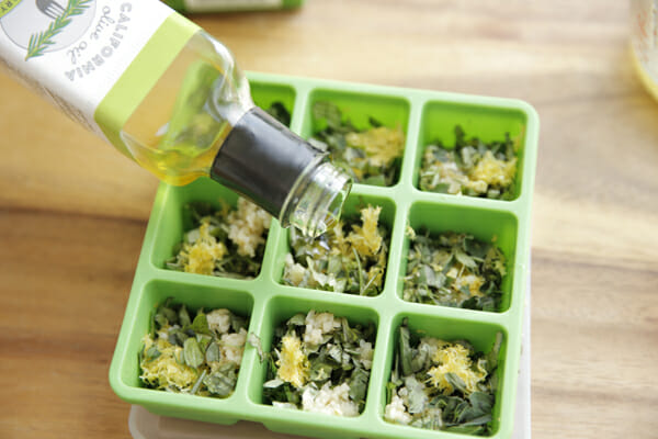 Frozen Herb Starters Filling with Rosemary Oil