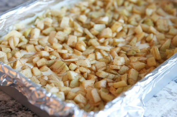 Caramel Apple Cheesecake_diced apples and cinnamon