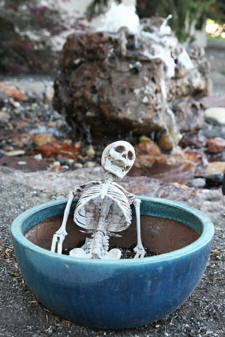 Skeleton Pot