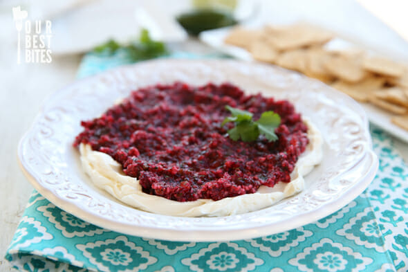 Our Best Bites Cranberry Salsa Dip