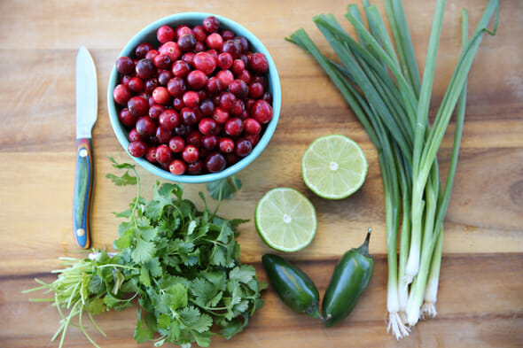 Our Best Bites Cranberry Salsa Ingredients