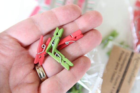 Tiny Clothes Pins