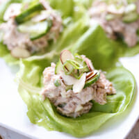 lemon dill tuna salad lettuc cups-5 copy