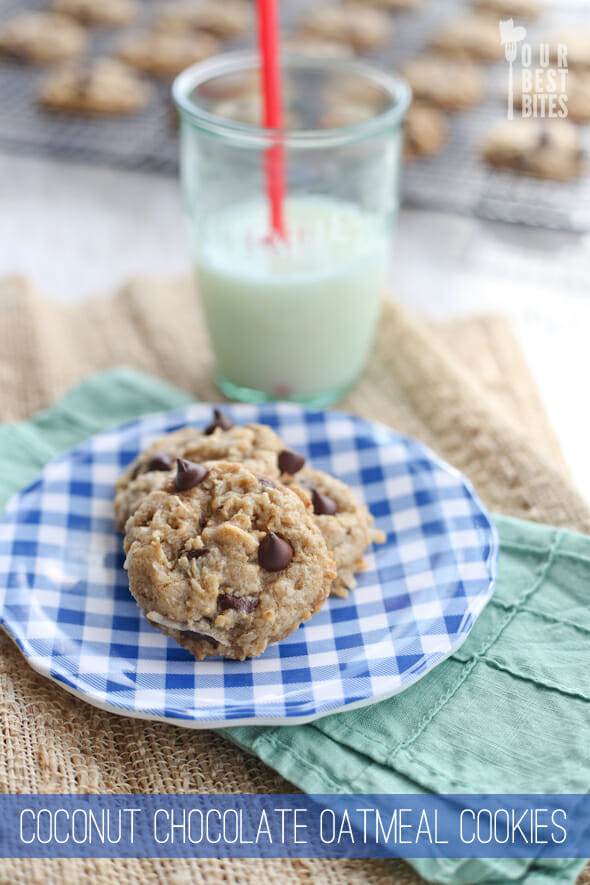 Chewy Coconut Chocolate Oatmeal Cookies