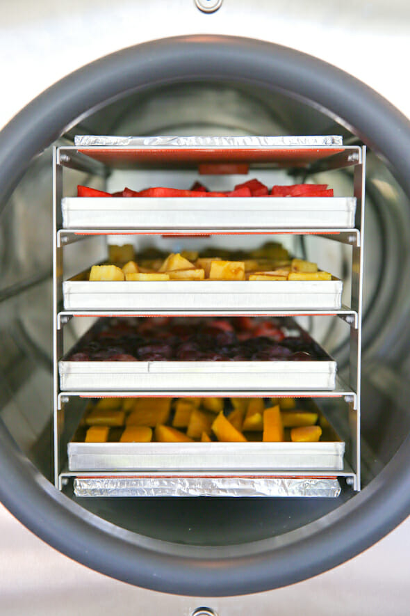 Freeze Dryer: Home-made freeze dried foods using the Harvest Right Freeze  Dryer