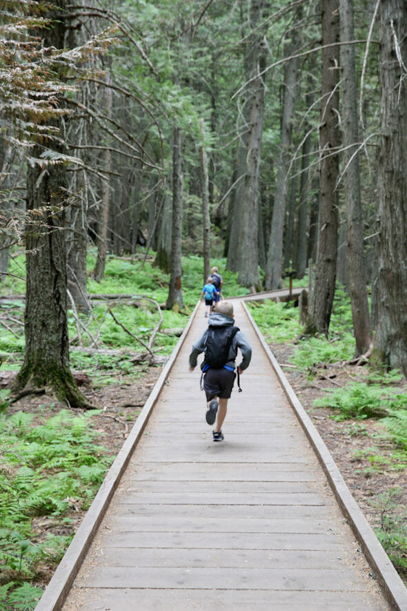 Trail of the Cedars