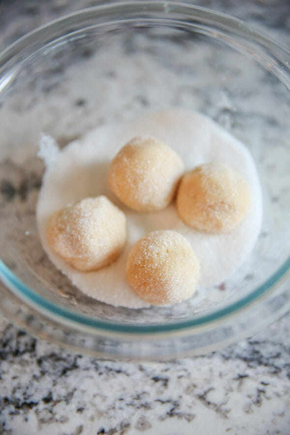 Peppermint Sugar Cookie Dough