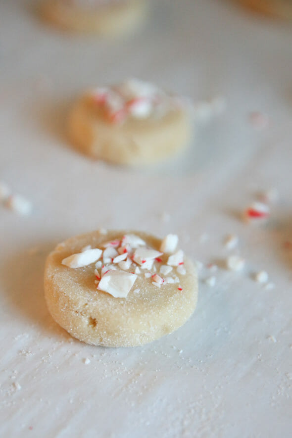 Peppermint Sugar Cookie Dough