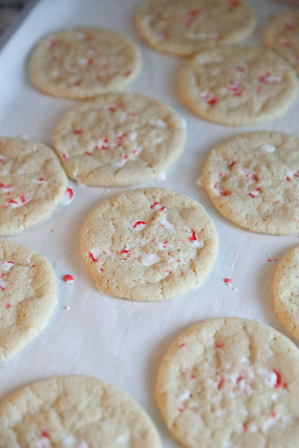 Baked Peppermint Sugar Cookies