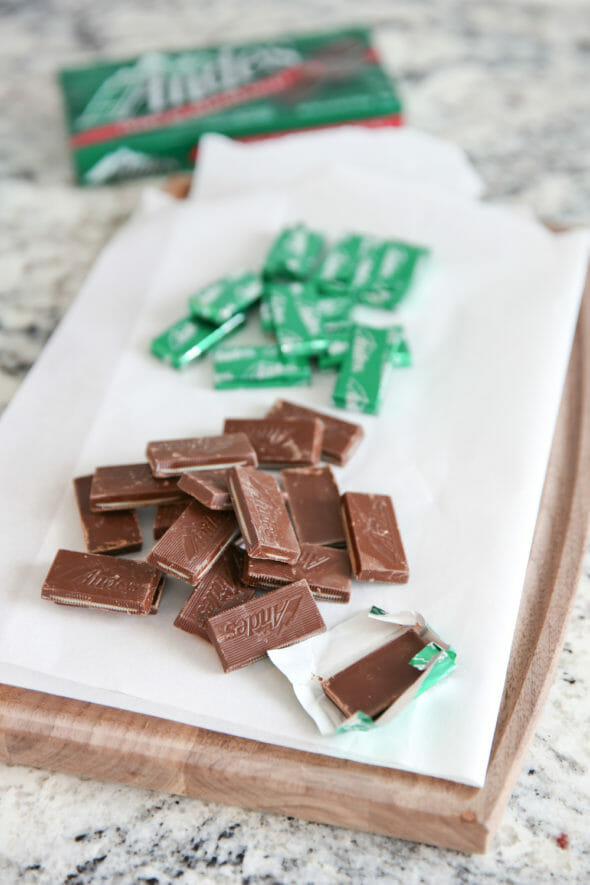 The Best Chocolate Mint Cookies