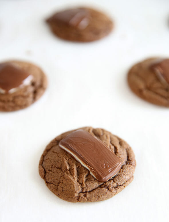 The Best Chocolate Mint Cookies