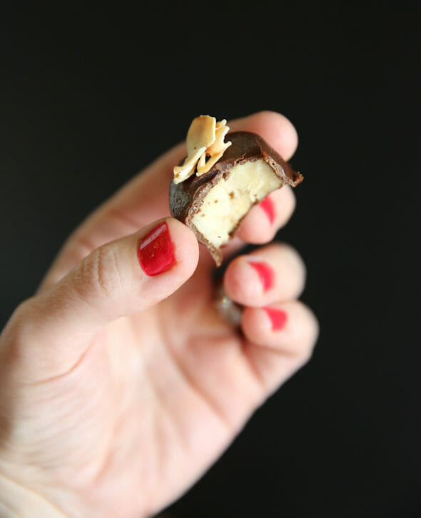 Frozen Chocolate Peanut Butter banana bites