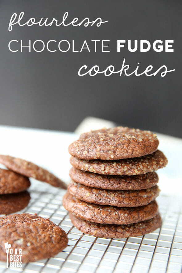 Flourless Chocolate Fudge Cookies