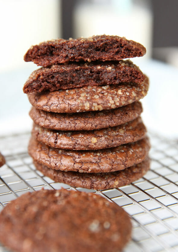 Gluten Free Flourless Chocolate Peppermint Cookies - Flippin