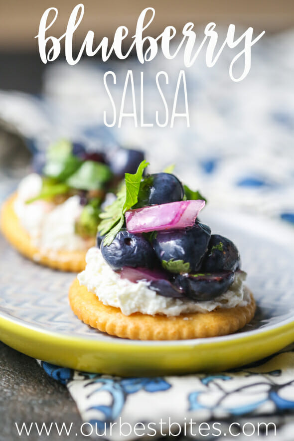 Blueberry Salsa from Our Best Bites