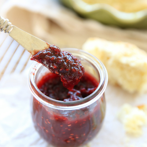 Raspberry Chocolate Jam - Our Best Bites
