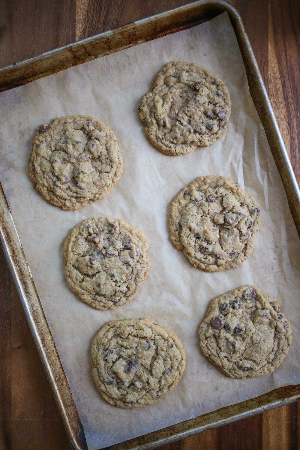 Big Giant Chocolate Chip Cookie - Our Best Bites