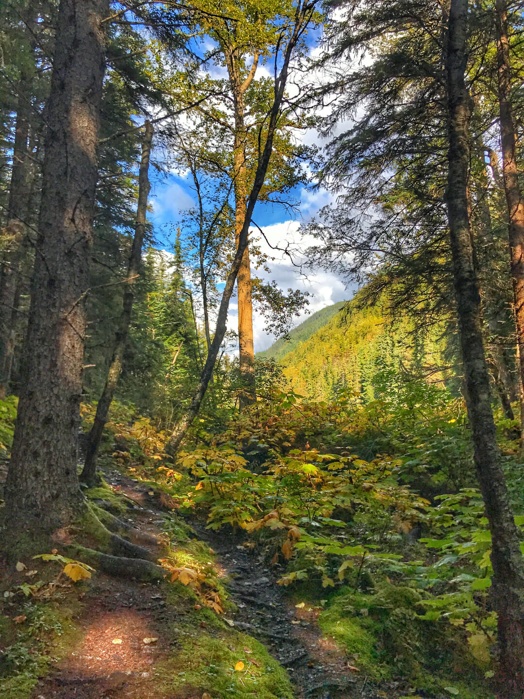 Skagway Alaska Excursion