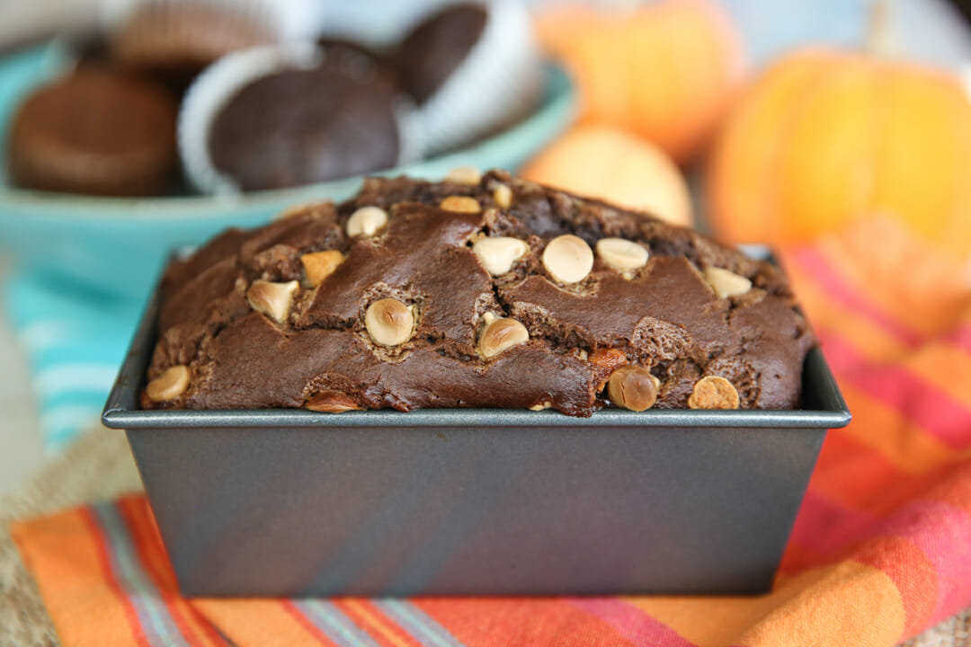 Chocolate Pumpkin Muffins