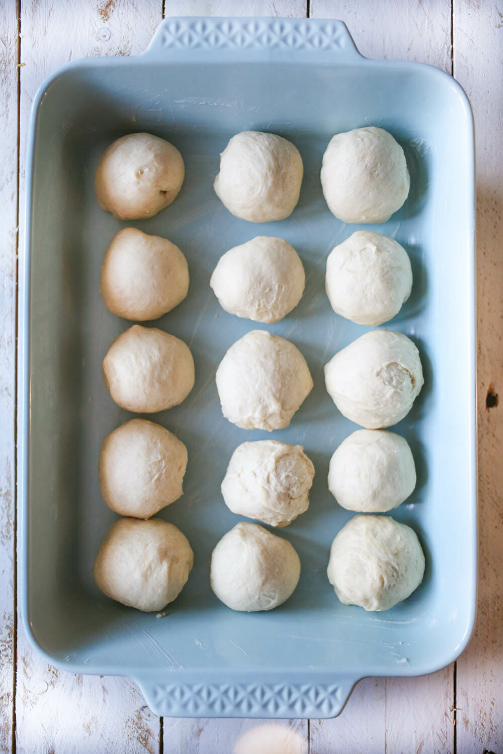 divided and shaped potato roll dough 