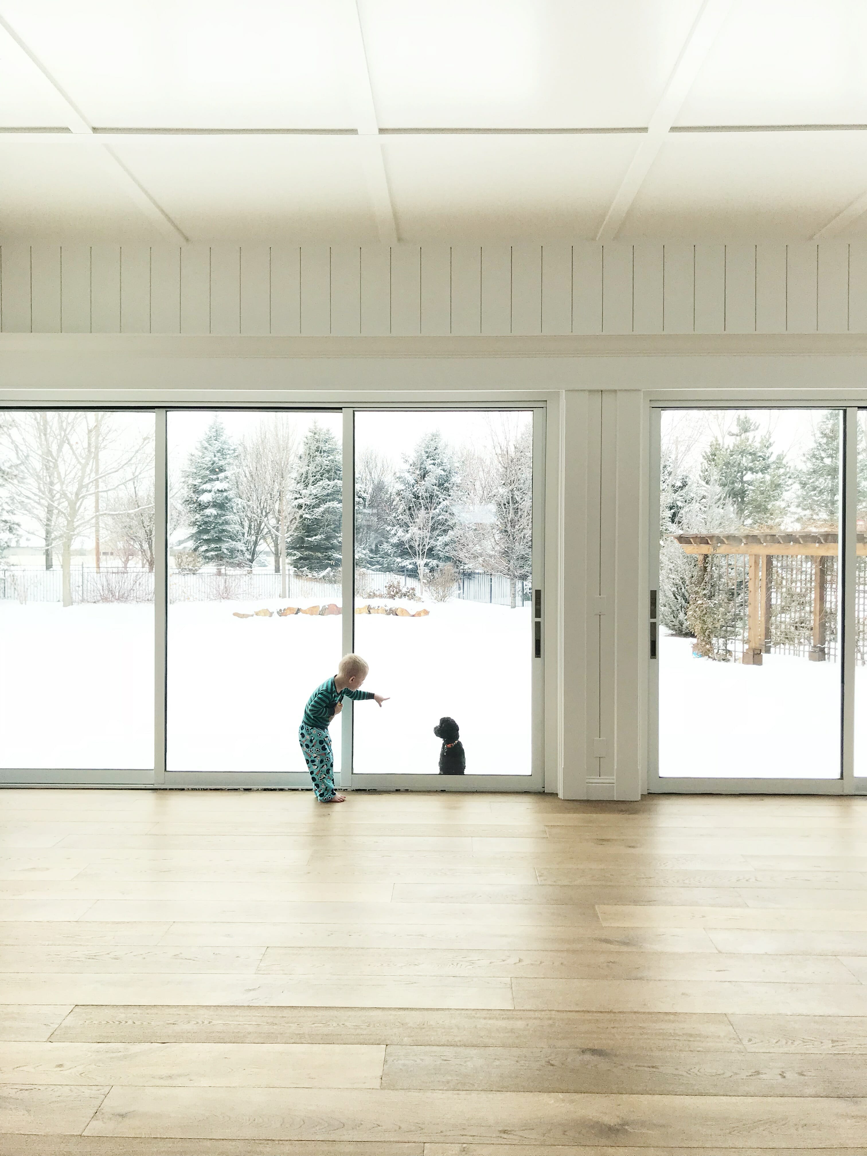 sunroom inspiration