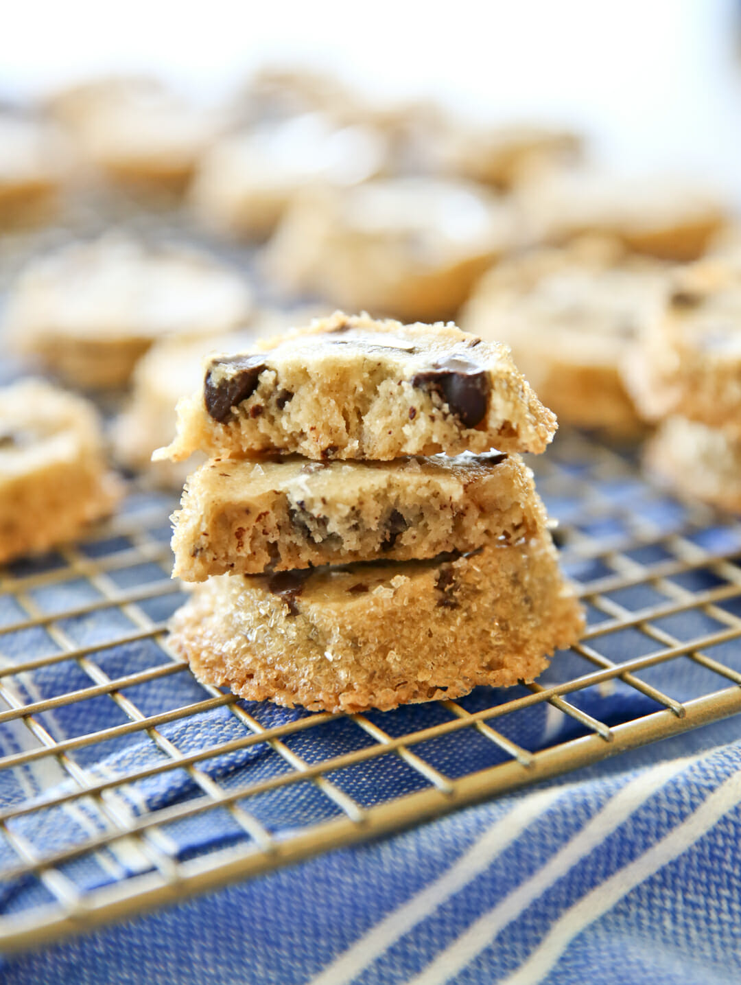 Salted Chocolate Chunk Shortbread - Our Best Bites