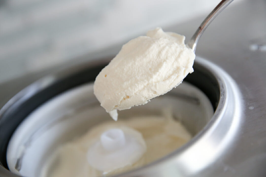 no cook vanilla ice cream recipe